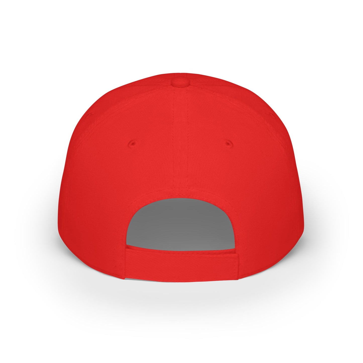 Viral Musk Trump Cap: 'Right About Everything' Hat